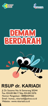 Demam Berdarah