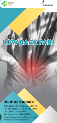 Low Back Pain